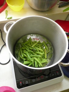 2nd-French beans (15) (600x800)