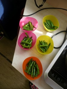2nd-French beans (16) (600x800)