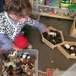 Sorting the animals into homes